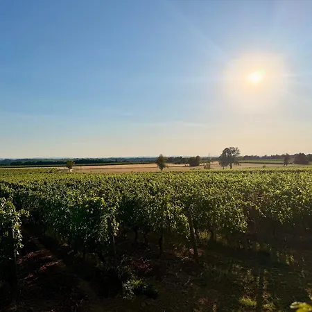 Among The Vineyards Villa *