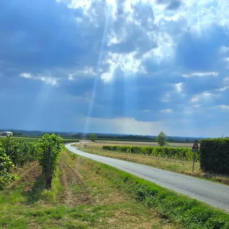 Villa Among The Vineyards *