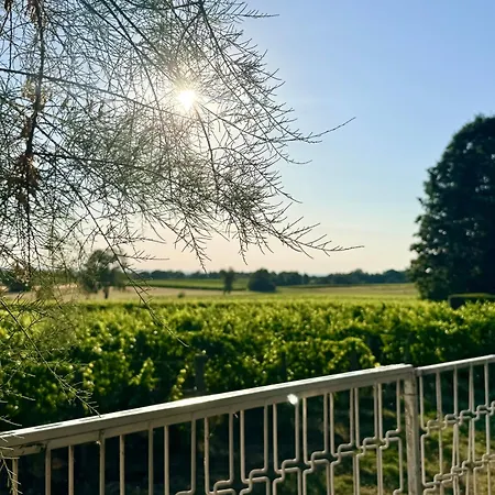 Villa Among The Vineyards *